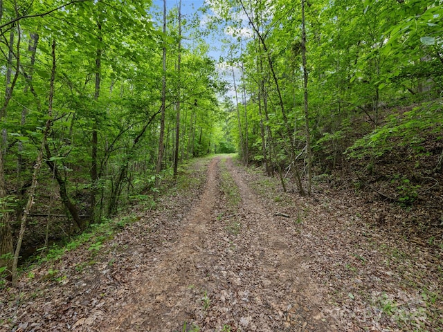 0000 S County Line Rd, Rutherfordton, NC 28139