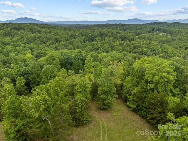 0000 S County Line Rd, Rutherfordton, NC 28139