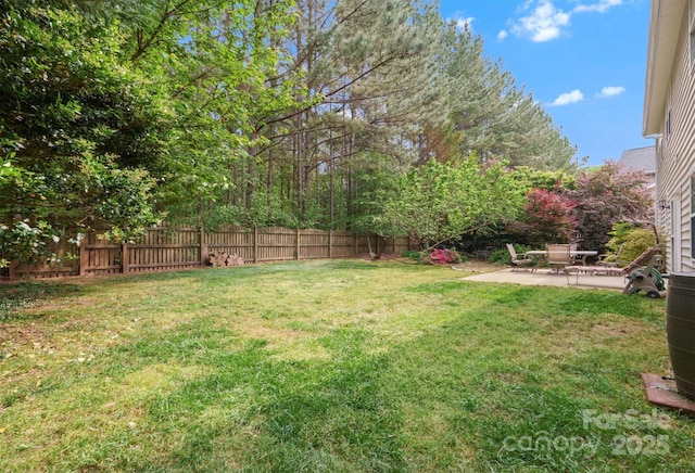 14220 Stewarts Bend Ln, Charlotte, NC 28277 - view of yard featuring a patio area and fence