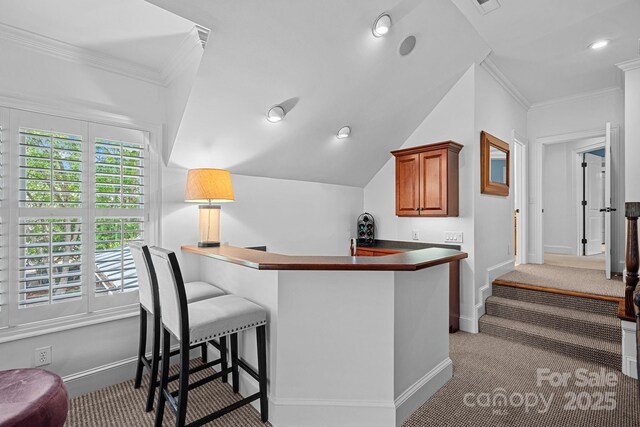 17040 Jetton Rd, Cornelius, NC 28031 - indoor dry bar with carpet floors, ornamental molding, baseboards, vaulted ceiling, and recessed lighting