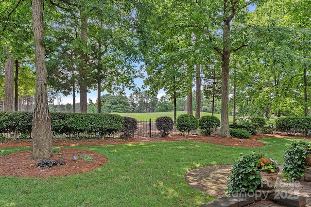 17040 Jetton Rd, Cornelius, NC 28031 - view of yard with view of scattered trees