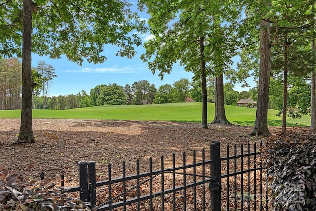 17040 Jetton Rd, Cornelius, NC 28031 - view of yard with view of golf course and view of scattered trees