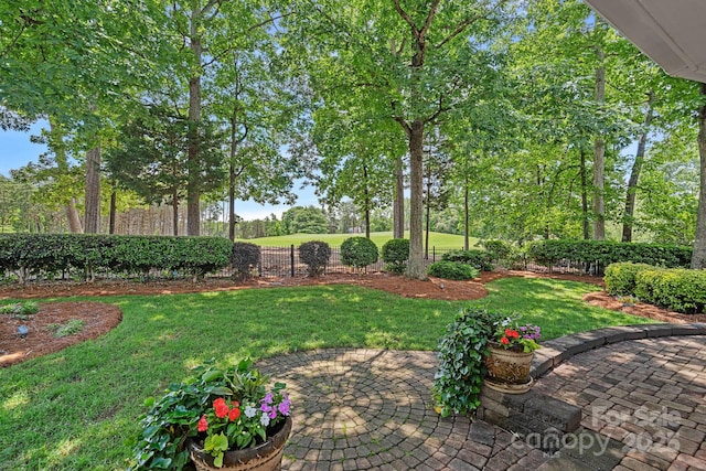 17040 Jetton Rd, Cornelius, NC 28031 - view of yard featuring a patio area and view of scattered trees