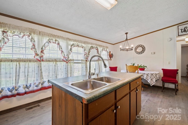 6282 Lor Rd, Morganton, NC 28655 - kitchen with crown molding, a textured ceiling, a sink, light wood-style flooring, and visible vents