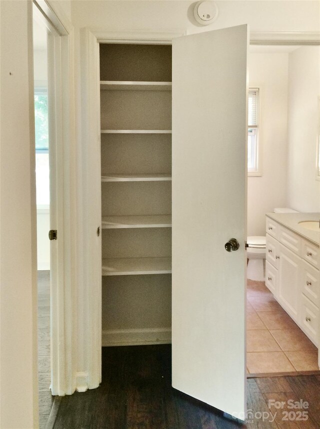 closet with a sink
