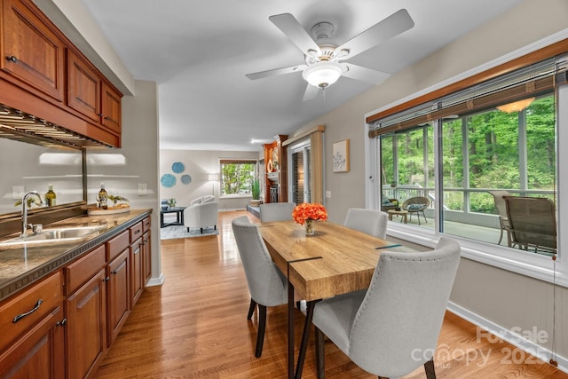 dining room featuring baseboards, ceiling fan, and light wood-type flooring