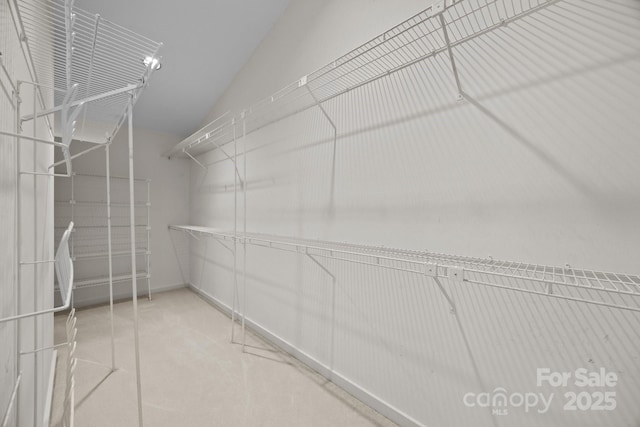 walk in closet with carpet