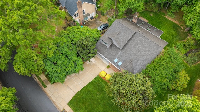 aerial view