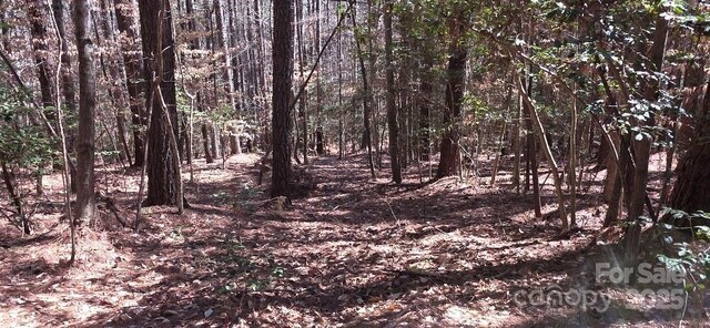 210 Ridge Top Dr, Connelly Springs, NC 28612