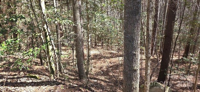210 Ridge Top Dr, Connelly Springs, NC 28612
