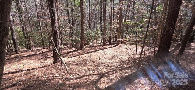 210 Ridge Top Dr, Connelly Springs, NC 28612
