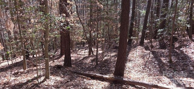 210 Ridge Top Dr, Connelly Springs, NC 28612