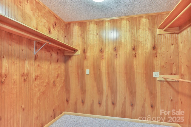 walk in closet with carpet floors