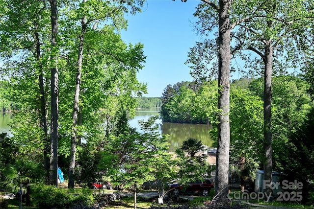 water view