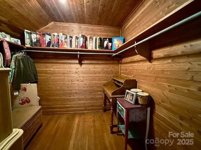 559 N Washington St, Rutherfordton, NC 28139 - spacious closet with lofted ceiling and hardwood / wood-style flooring