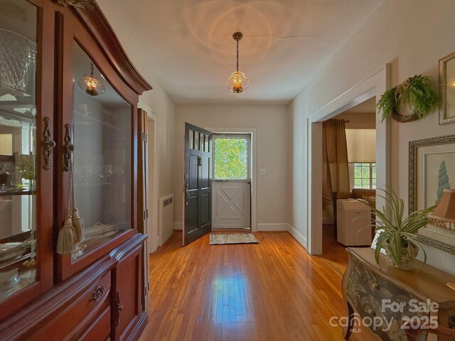 559 N Washington St, Rutherfordton, NC 28139 - doorway with light wood-type flooring and baseboards