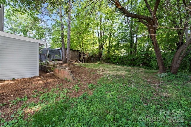 300 N Ervin Ave, Newton, NC 28658 - view of yard