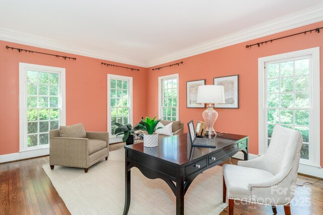 1233 Weymouth Ln, Charlotte, NC 28270 - office with crown molding, baseboards, a healthy amount of sunlight, and light wood-type flooring
