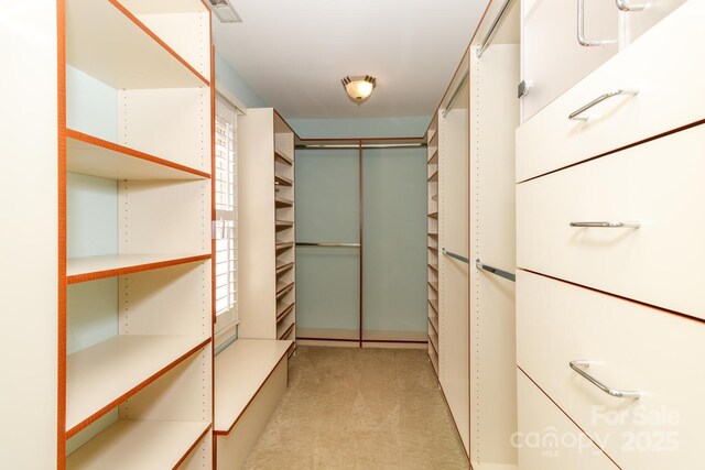 1233 Weymouth Ln, Charlotte, NC 28270 - spacious closet featuring light carpet