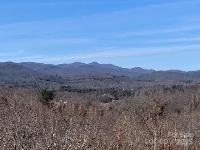 2399 Pleasant Grove Rd, Hendersonville, NC 28739 - photo 37