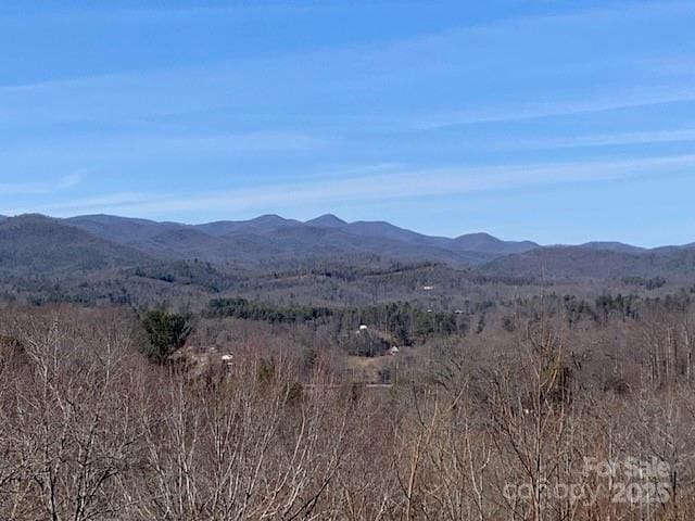 2399 Pleasant Grove Rd, Hendersonville, NC 28739 - photo 42