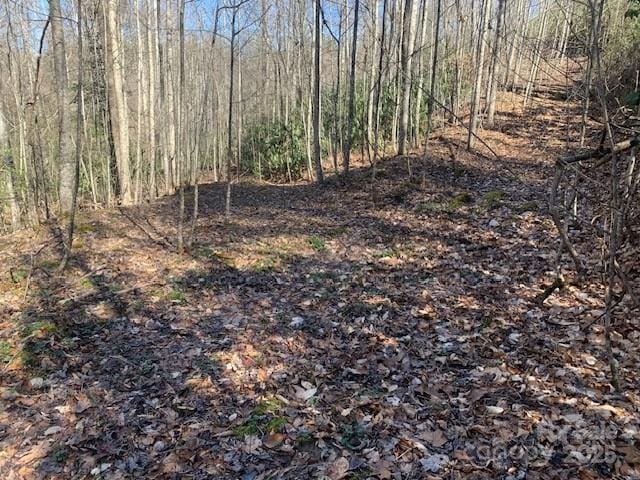 2399 Pleasant Grove Rd, Hendersonville, NC 28739 - photo 43