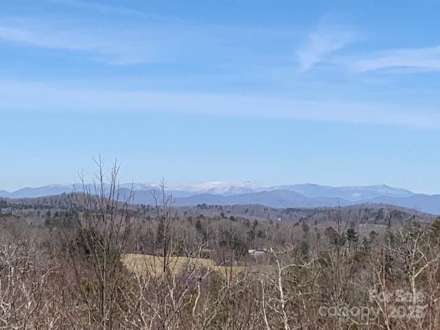 2399 Pleasant Grove Rd, Hendersonville, NC 28739 - photo 44