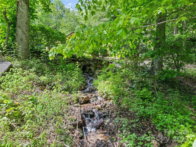 218 Red Oak Dr, Maggie Valley, NC 28751 - view of undeveloped land