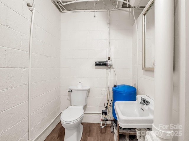 bathroom featuring wood finished floors, a sink, concrete block wall, and toilet