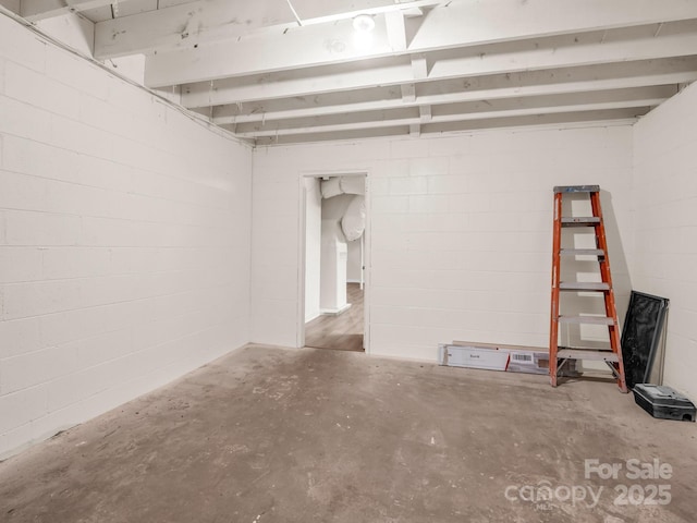 unfinished below grade area with concrete block wall