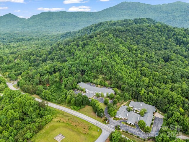 aerial overview of property's location with a heavily wooded area and a mountain backdrop