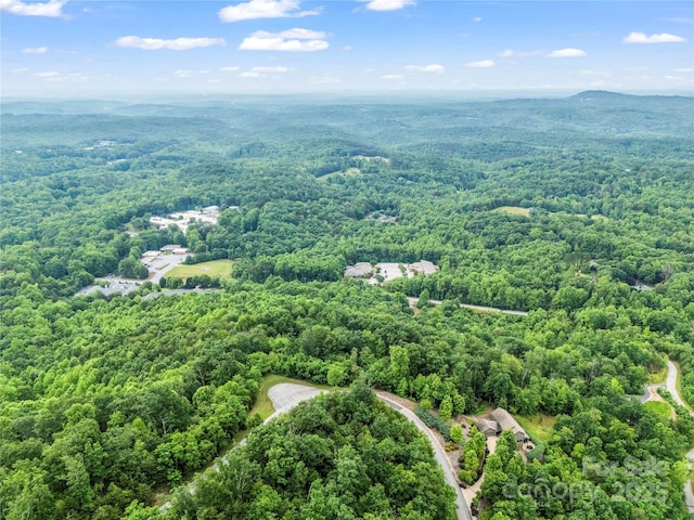 bird's eye view of a heavily wooded area