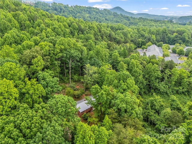 bird's eye view of a forest
