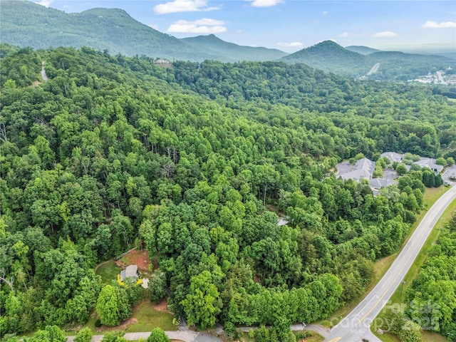 200 Little Wings Mountain Rd, Columbus, NC 28722 - photo 37