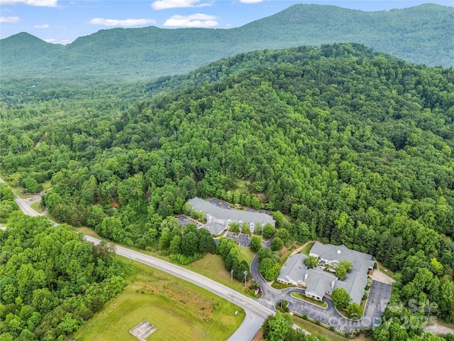 200 Little Wings Mountain Rd, Columbus, NC 28722 - photo 38