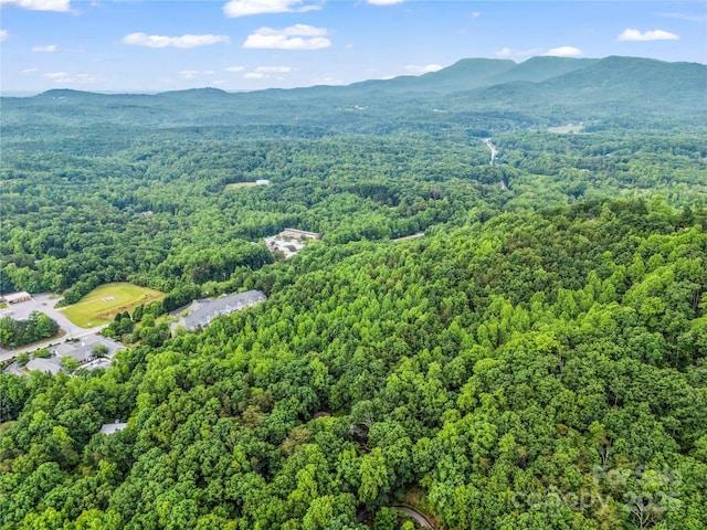 200 Little Wings Mountain Rd, Columbus, NC 28722 - photo 39