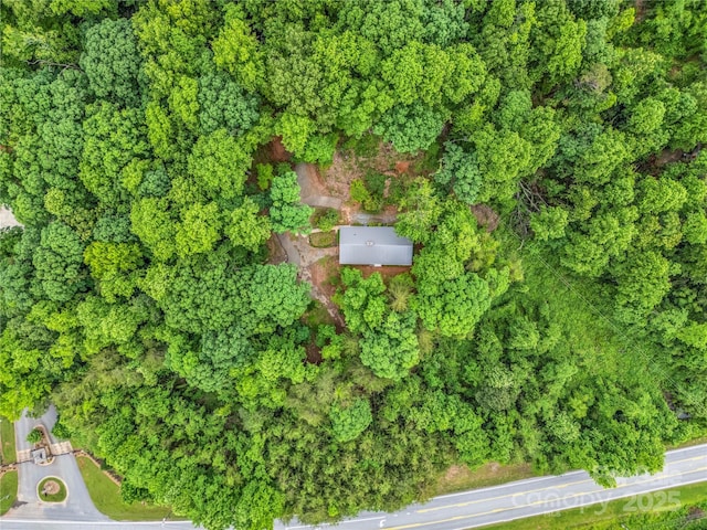200 Little Wings Mountain Rd, Columbus, NC 28722 - photo 42