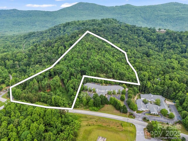 200 Little Wings Mountain Rd, Columbus, NC 28722 - photo 43
