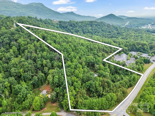 200 Little Wings Mountain Rd, Columbus, NC 28722 - photo 44