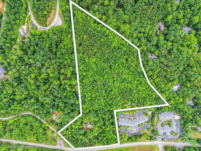 200 Little Wings Mountain Rd, Columbus, NC 28722 - photo 1