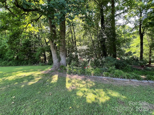 33611 Mann Rd, Albemarle, NC 28001 - view of grassy yard