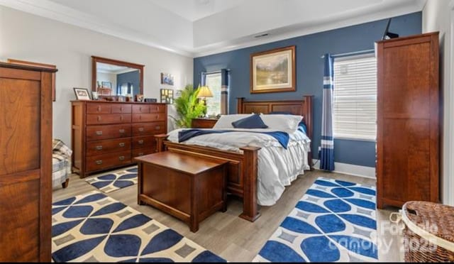 2704 Watergarden St, York, SC 29745 - bedroom with light wood finished floors, multiple windows, and a raised ceiling
