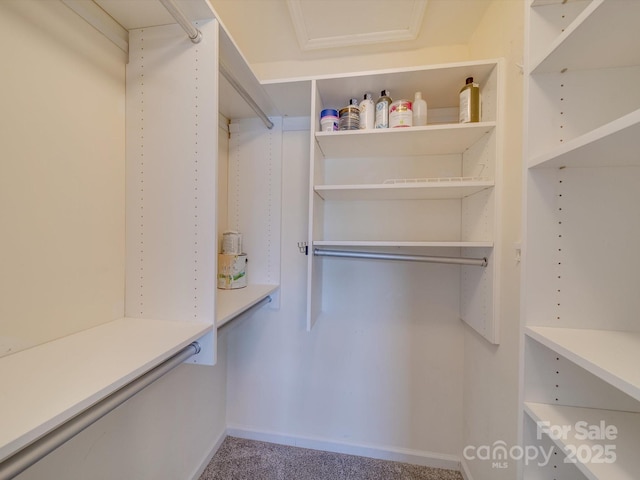 517 N Graham St Unit 3C, Charlotte, NC 28202 - photo 20