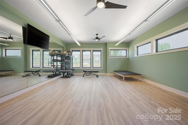 workout room with wood finished floors, baseboards, a ceiling fan, and a wealth of natural light