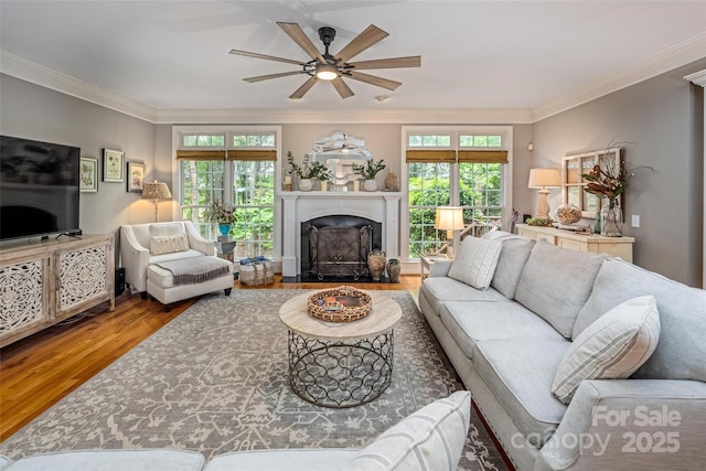 19729 Callaway Hills Ln, Davidson, NC 28036 - living room with a fireplace with flush hearth, wood finished floors, crown molding, and ceiling fan