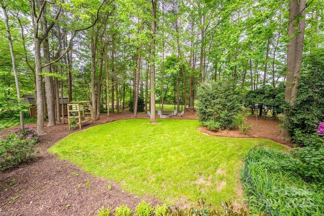 19729 Callaway Hills Ln, Davidson, NC 28036 - view of yard