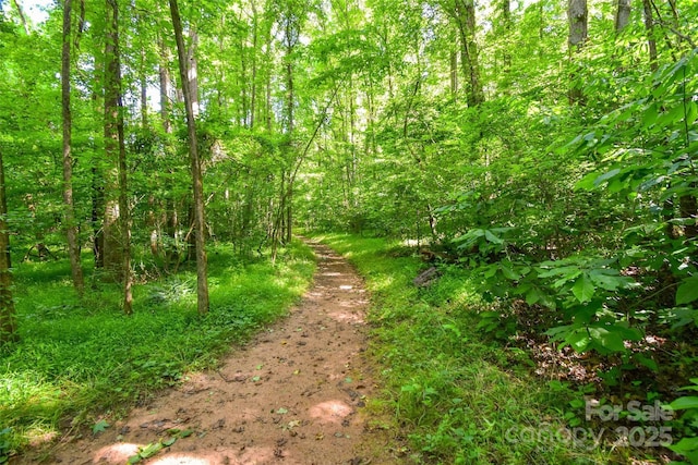 19729 Callaway Hills Ln, Davidson, NC 28036 - view of local wilderness featuring a forest view