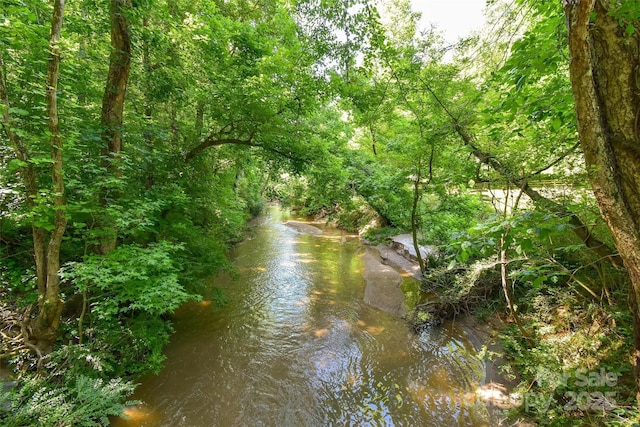 19729 Callaway Hills Ln, Davidson, NC 28036 - water view