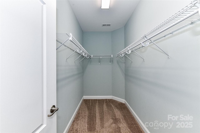 11123 Bailey Park Nature Dr, Cornelius, NC 28031 - walk in closet with visible vents and carpet flooring