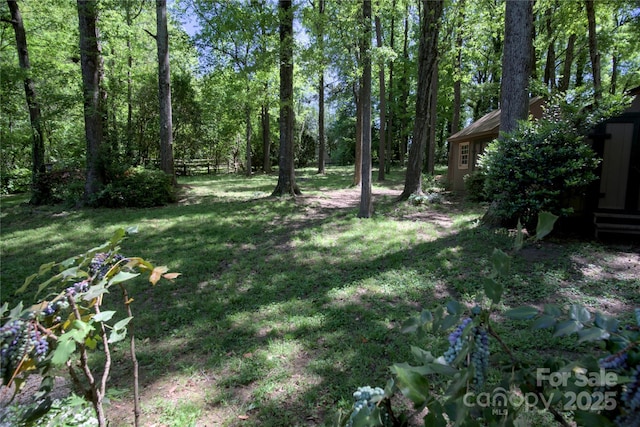 10708 Danesway Ln, Cornelius, NC 28031 - view of yard